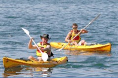 Manly Kayaks - Carnarvon Accommodation
