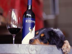 Koonara Wines - Carnarvon Accommodation
