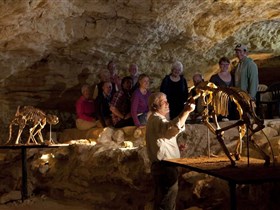 Naracoorte Caves National Park - Carnarvon Accommodation