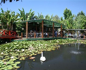 Blue Lotus Water Garden - Carnarvon Accommodation