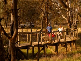 Loxton's Drives Walks and Trails - Carnarvon Accommodation