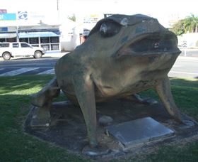 Big Cane Toad - Carnarvon Accommodation